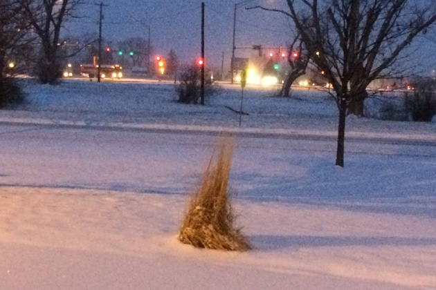 Central Illinois winter snowfall far below average | WJBC AM 1230