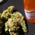 Nearly ninety percent of cannabis cultivator applicants will get turned down