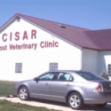 Animals sheltered at CISAR in need of new homes