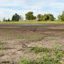 State Climatologist: Despite some recent rains, much of Illinois remains in drought