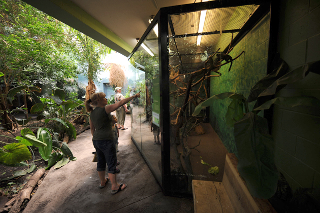 Miller Park Zoo