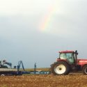 Update from Illinois farm fields in this week’s USDA crop report