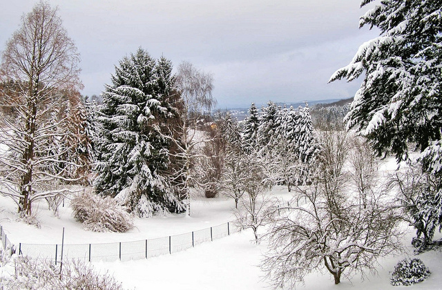 winter