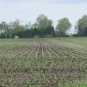 Illinois farmers continue to make good progress