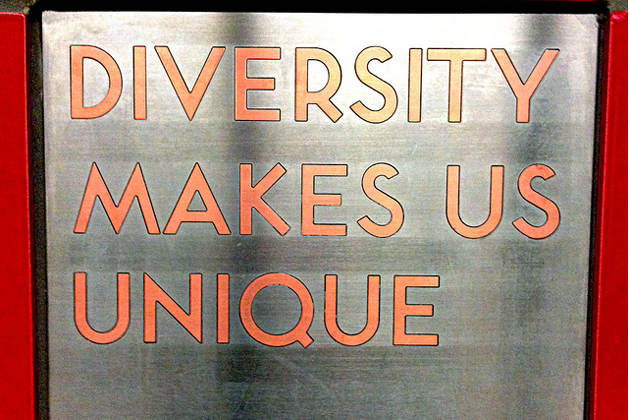 Diversity plaque
