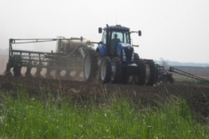 Corn planting