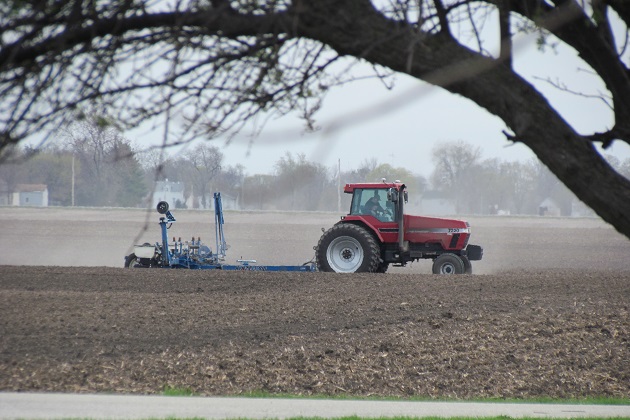 Corn planting