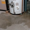 Mold, termites pose next challenge for flooded out homeowners