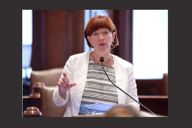 State Senator Heather Steans thinks more and more non-profts are struggling. (Courtesy Seanatorsteans.com)