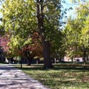 ISU breaks private fundraising record