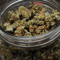 Patients await approval for new medical marijuna conditions