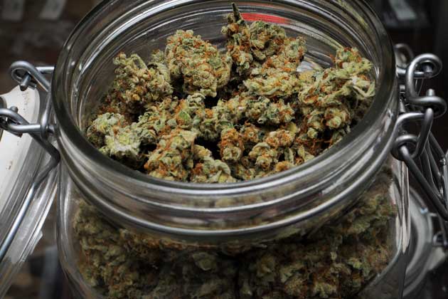 Medical Marijuana