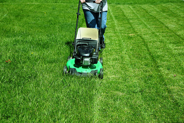 mowing grass