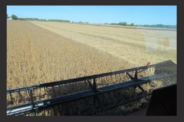 Harvest