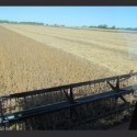Ag Research may be a victim of Illinois budget crisis