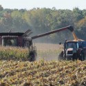 Corn and soybean yields in Illinois are showing positive numbers