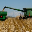 Illinois corn harvesting has begun