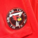Illinois State unveils commemorative patch to honor plane crash victims