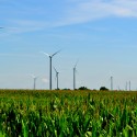 Report: Illinois must start move to renewable fuels to satisfy federal requirements
