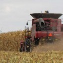 Weekly USDA crop report