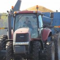 Corn harvesting nearly complete in Illinois
