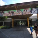 Miller Park Zoo celebrating 133 years with birthday bash this Saturday