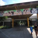 Miller Park Zoo faces parking crunch amid state budget stalemate