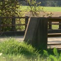 Coroner withholds preliminary findings in former Bloomington cop’s death