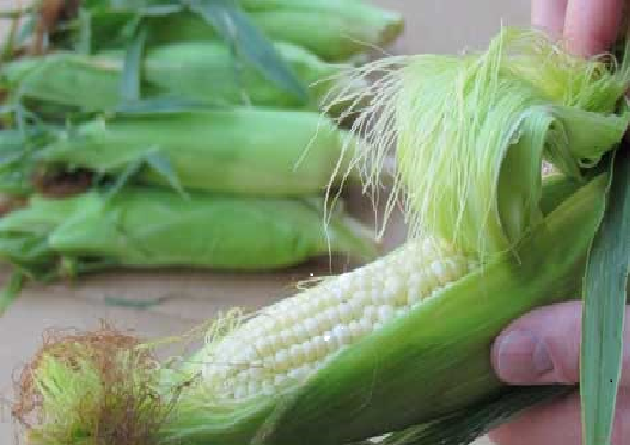 The Environmental Protection Agency is proposing an additional 700 million gallons of biofuels.