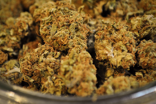 medical marijuana