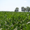 Farmers return from trip to Cuba