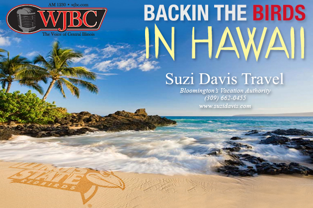 Suzi Davis Hawaii 630x420