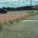 Bloomington makes progress on road work, weeds still an issue