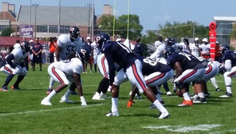 Alshon Jeffrey