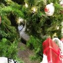 Witts recall favorite Christmas card